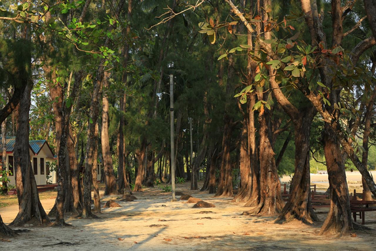 Coconut Island Resort Ngapali Zewnętrze zdjęcie